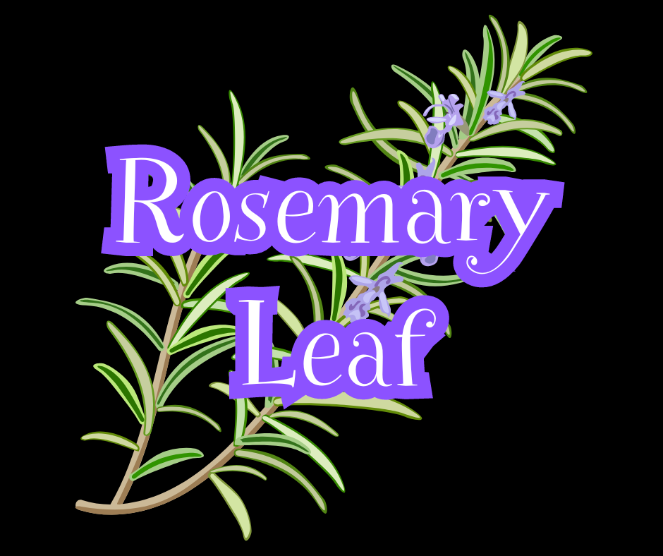 Rosemary Leaf