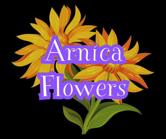 Arnica Flowers