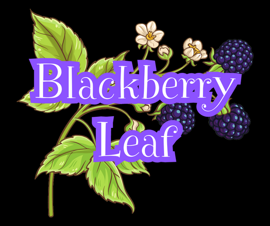 Blackberry Leaf