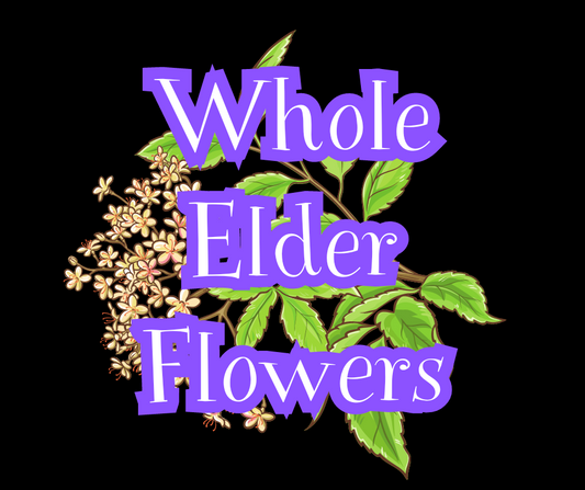 Whole Elderflowers