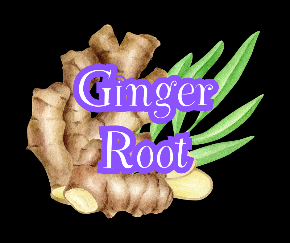 Ginger Root