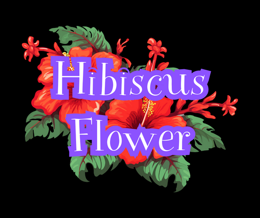 Hibiscus Flower