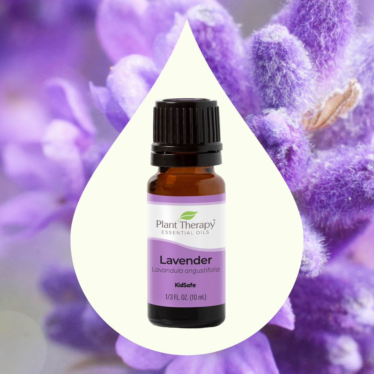 Lavender Essential Oil