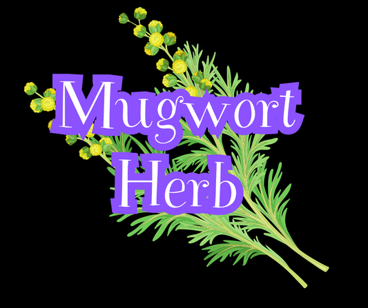 Mugwort Herb