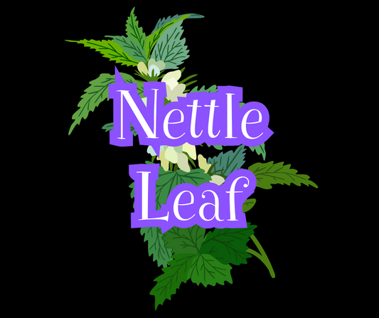 Nettle Leaf