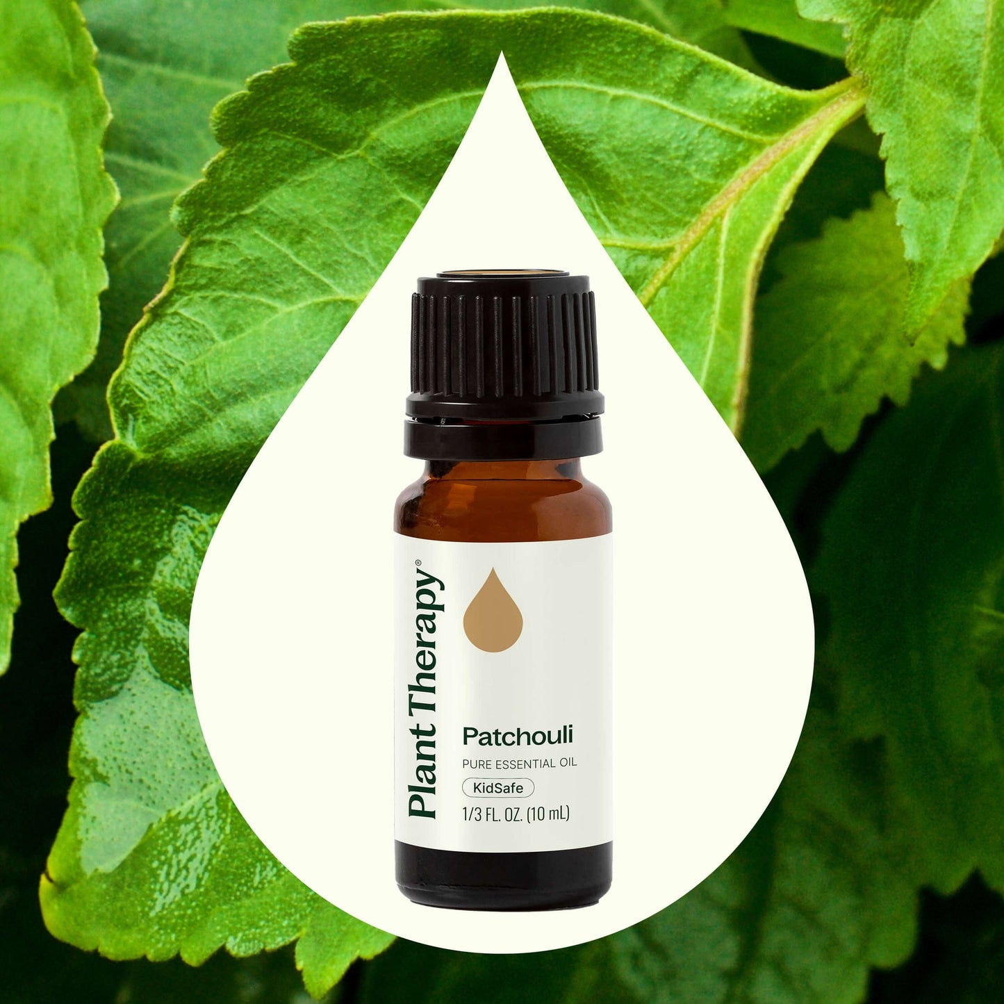 Patchouli Essential Oil