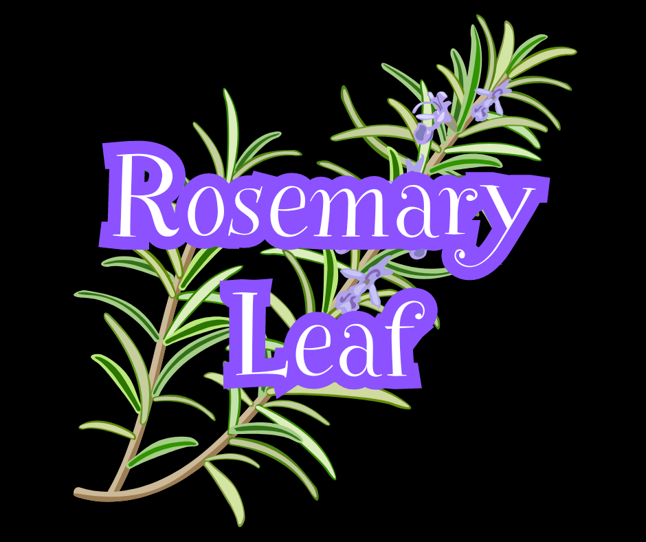 Rosemary Leaf-Cut