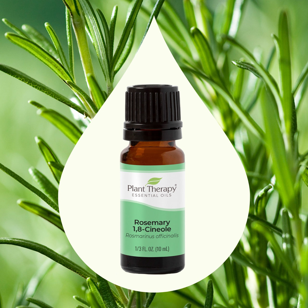 Rosemary 1,8 Cineole Essential Oil