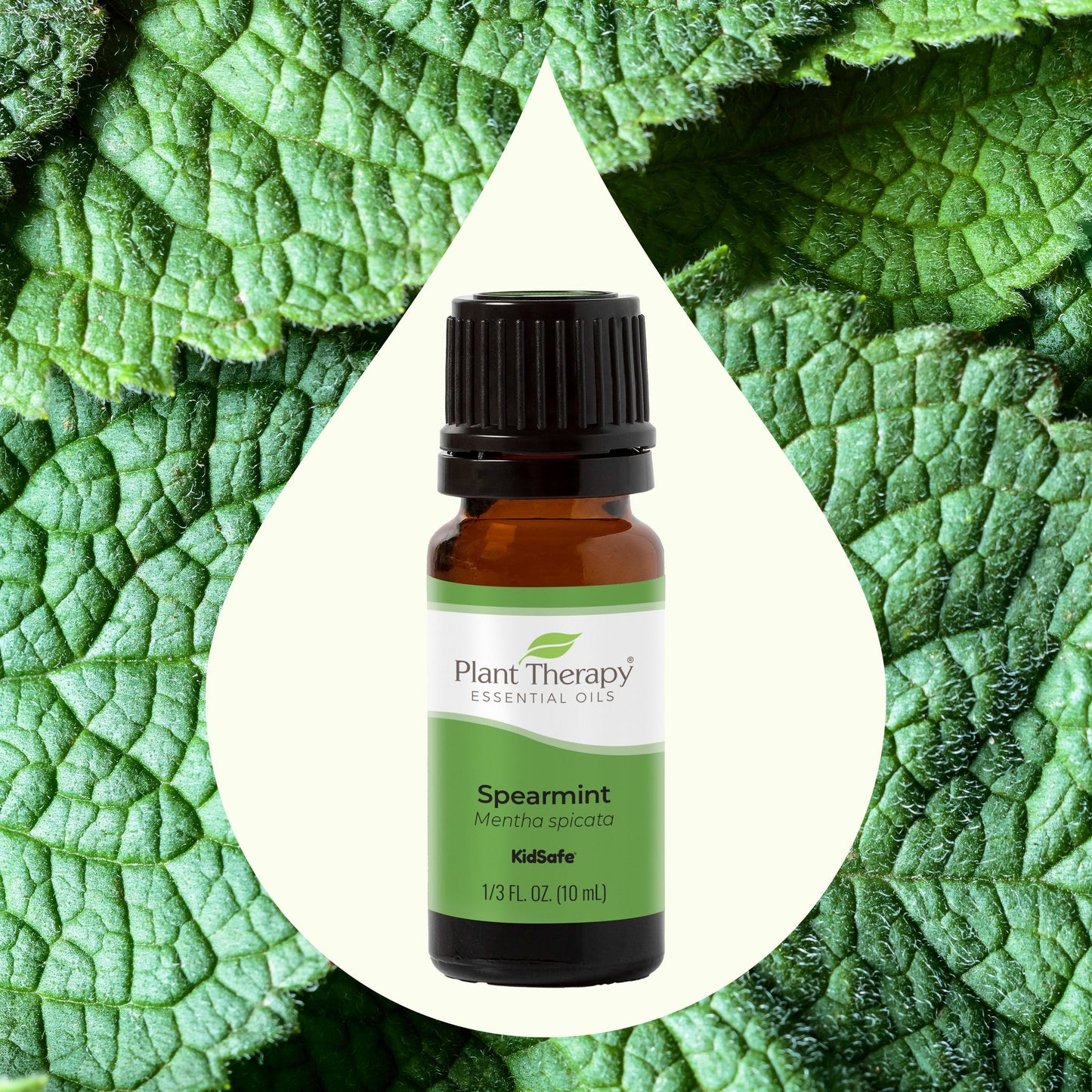 Spearmint Essential Oil